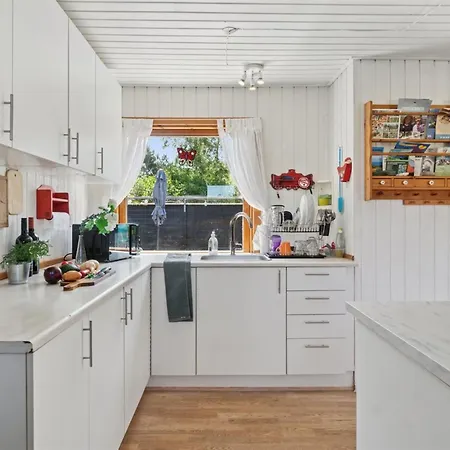 Ludvika - 350m From The Sea By Interhome Vakantiehuis Tjørneholm